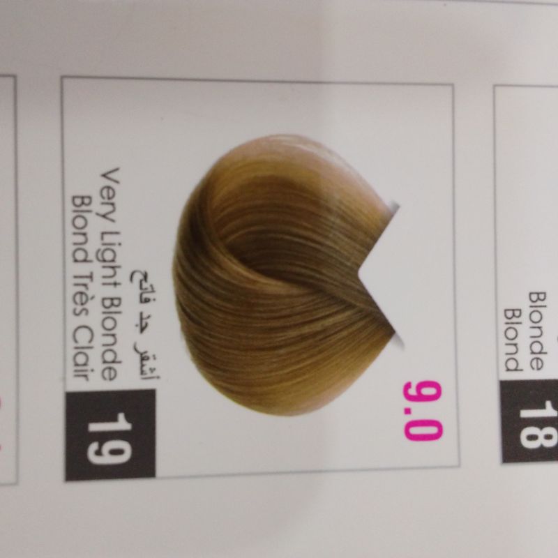19